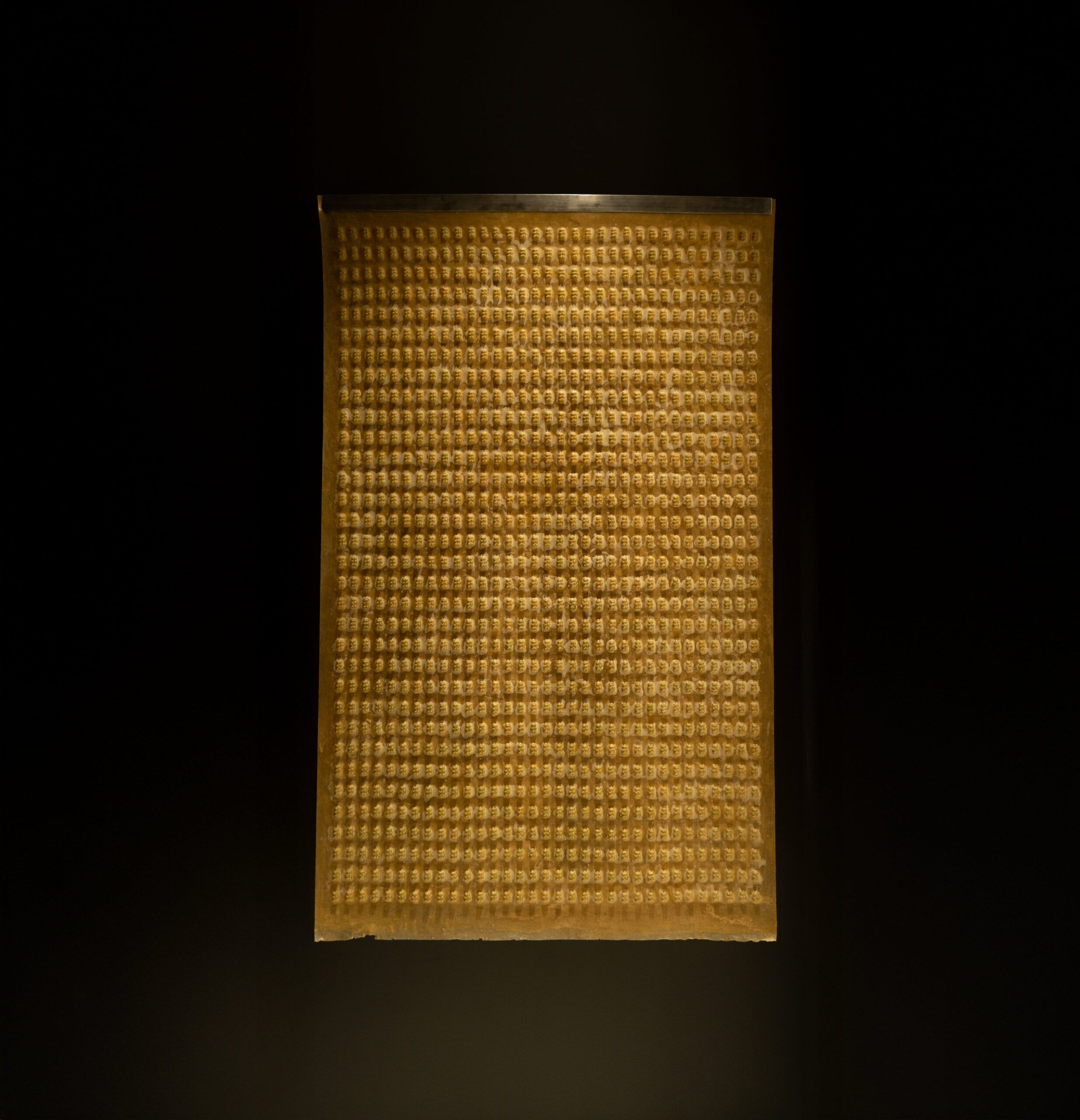 Biological-model2