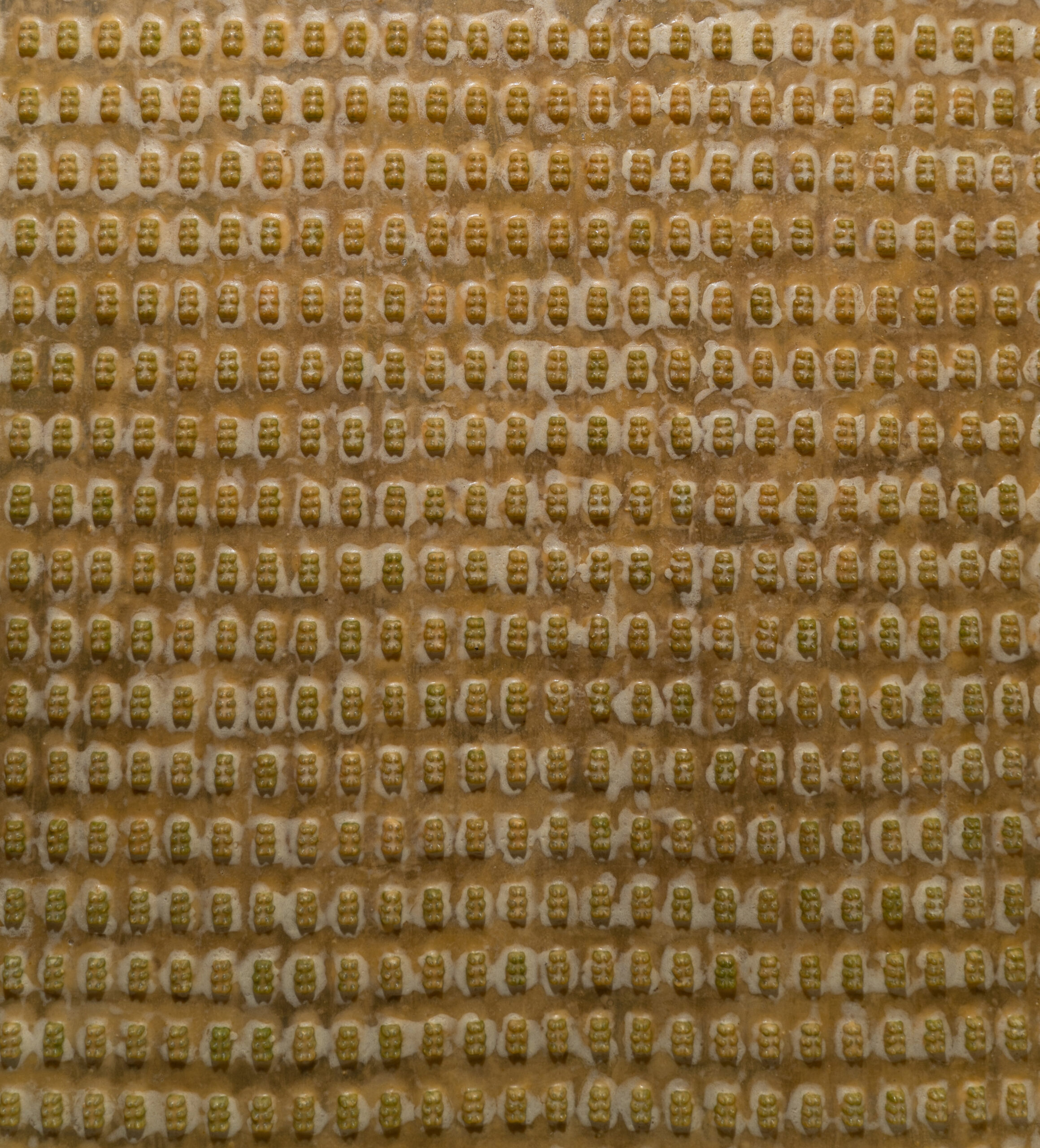 Biological-model6
