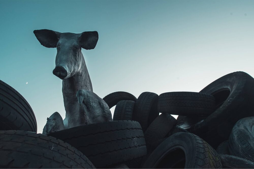 Let’s watch humans die