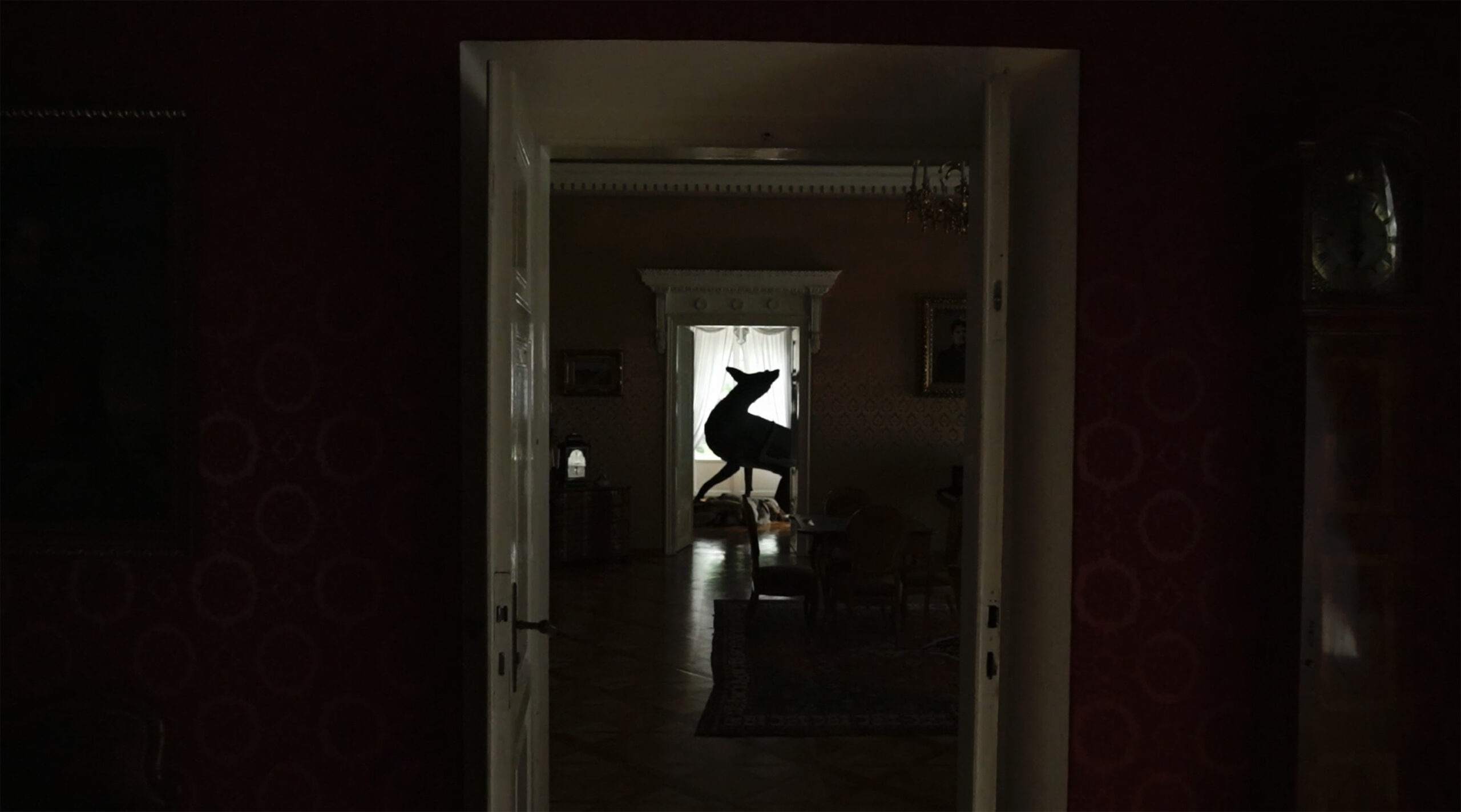 tillitsgonemovie